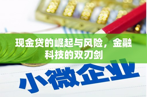 东源现金贷的崛起与风险，金融科技的双刃剑