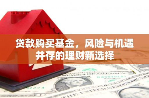 东源贷款购买基金，风险与机遇并存的理财新选择