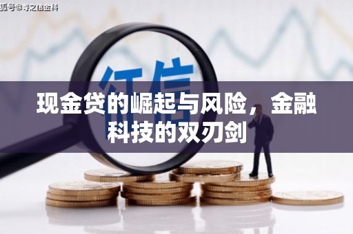 东源现金贷的崛起与风险，金融科技的双刃剑