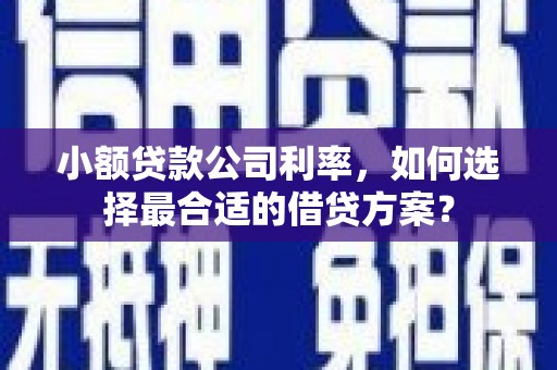 东源小额贷款公司利率，如何选择最合适的借贷方案？