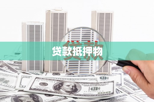 东源贷款抵押物