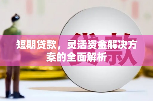 东源短期贷款，灵活资金解决方案的全面解析