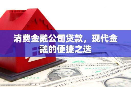 东源消费金融公司贷款，现代金融的便捷之选