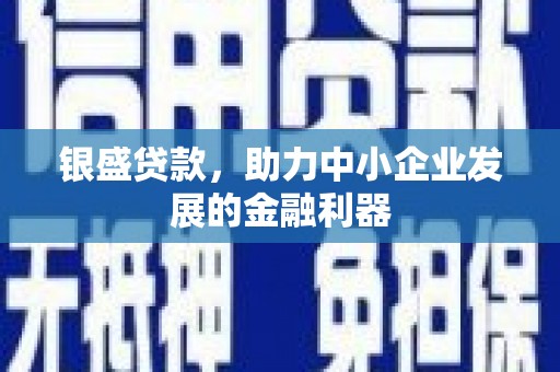 东源银盛贷款，助力中小企业发展的金融利器