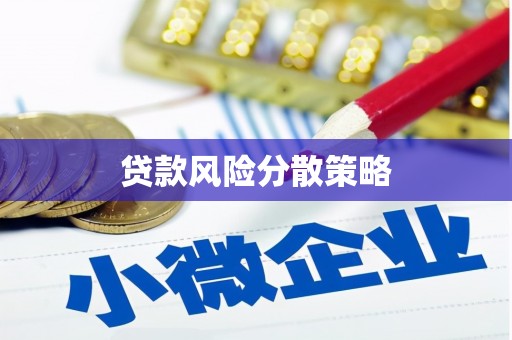 东源贷款风险分散策略