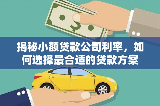 东源揭秘小额贷款公司利率，如何选择最合适的贷款方案