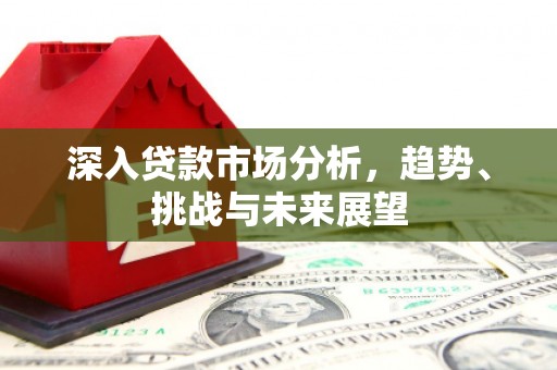 东源深入贷款市场分析，趋势、挑战与未来展望