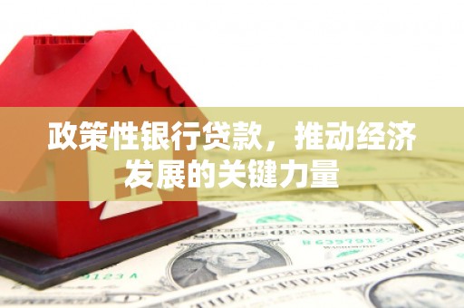 东源政策性银行贷款，推动经济发展的关键力量