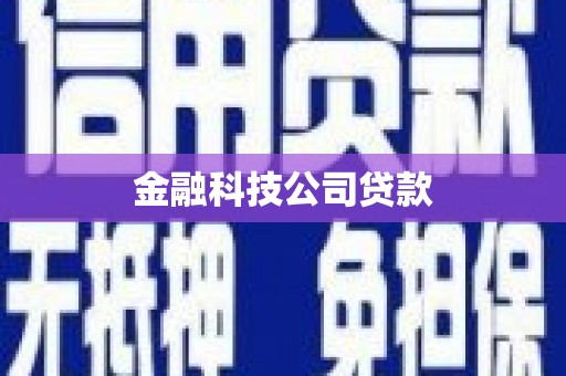 东源金融科技公司贷款