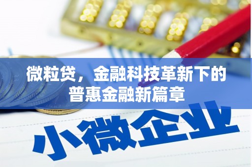 东源微粒贷，金融科技革新下的普惠金融新篇章