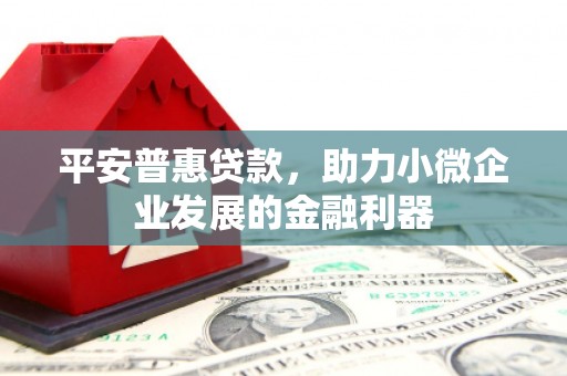 东源平安普惠贷款，助力小微企业发展的金融利器