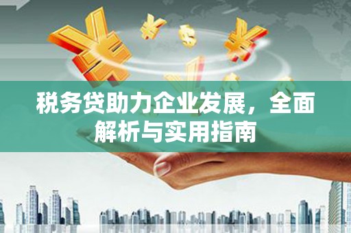 东源税务贷助力企业发展，全面解析与实用指南