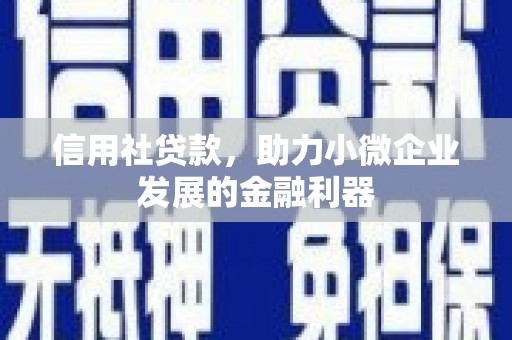 东源信用社贷款，助力小微企业发展的金融利器