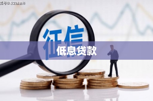 东源低息贷款