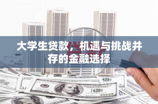 东源大学生贷款，机遇与挑战并存的金融选择