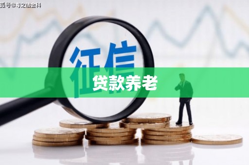 东源贷款养老