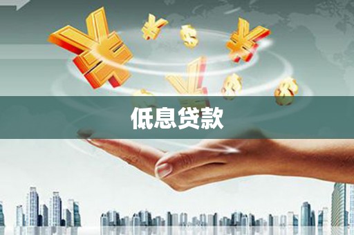 东源低息贷款
