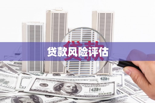 东源贷款风险评估