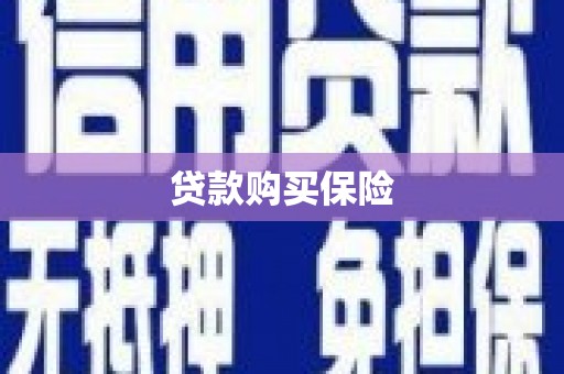 东源贷款购买保险
