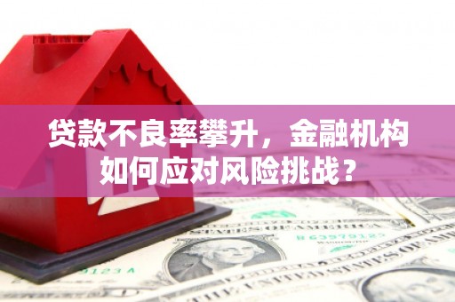 东源贷款不良率攀升，金融机构如何应对风险挑战？