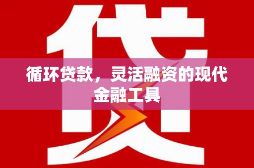 东源循环贷款，灵活融资的现代金融工具