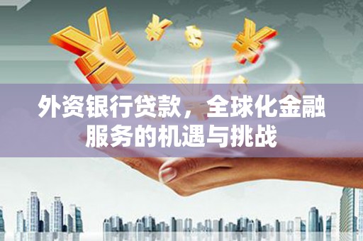 东源外资银行贷款，全球化金融服务的机遇与挑战