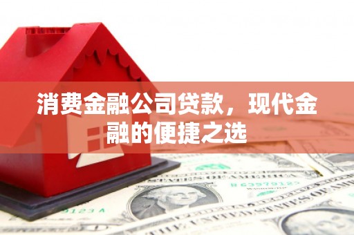 东源消费金融公司贷款，现代金融的便捷之选