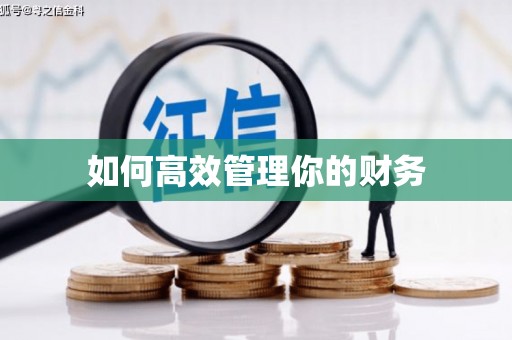 东源如何高效管理你的财务