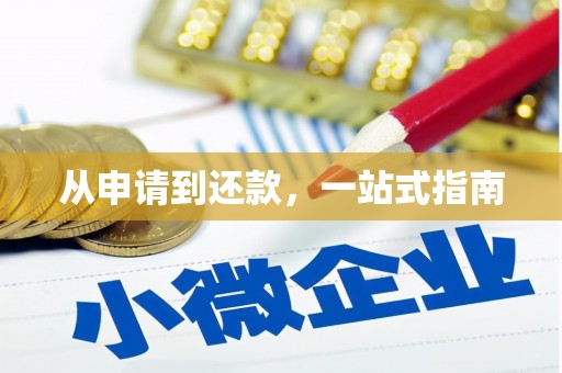 东源从申请到还款，一站式指南