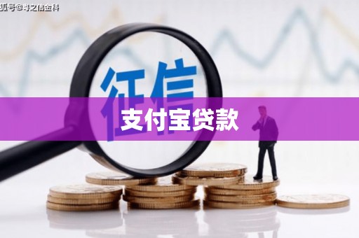 东源支付宝贷款