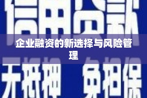东源企业融资的新选择与风险管理